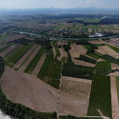 Above the river Drava 1